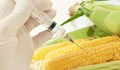 Европейската комисия разреши 4 вида ГМО