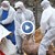 Румъния умъртвява 140 000 прасета заради чумата