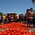 Зеленчукопроизводителите готвят протест