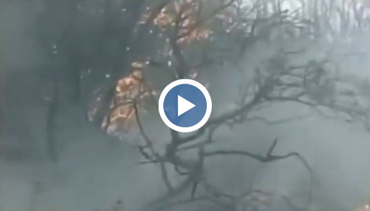 10 самолети и хеликоптери се борят с огнената стихия