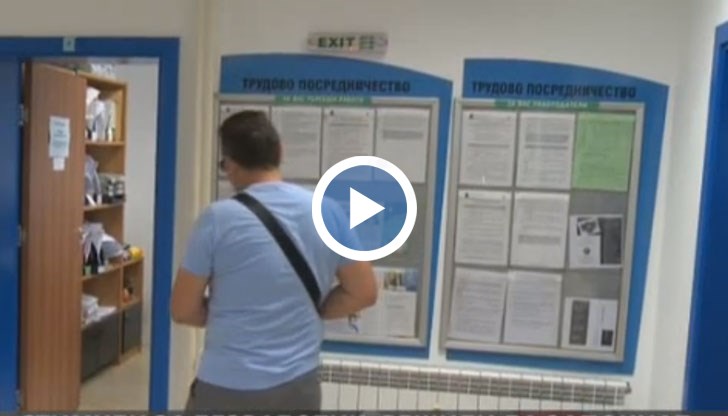 Те са два вида - еднократна помощ от 2 500 лева или изплащане наведнъж на обезщетения за безработица