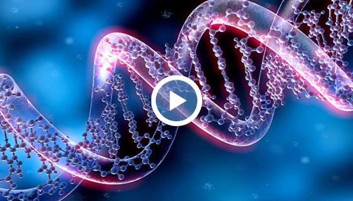 Нови изследвания са показали, че молекулата на ДНК съдържа необичайни кодирани текстове
