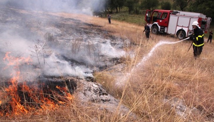 Огнеборците са потушили пожар на площ от 40 500 м² / Снимката е илюстративна