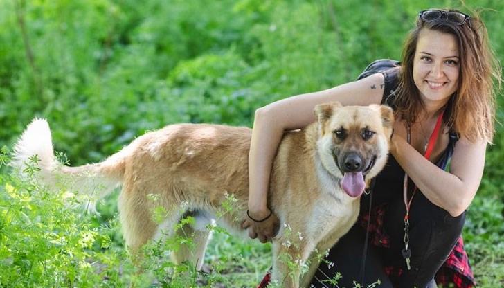 Русе е сред градовете с най-много осиновени четириноги Русе е сред градовете с най-много осиновени четириноги