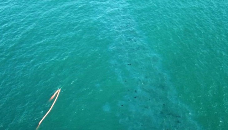 Теч има, но загражденията, поставени от Морската администрация вече ги няма