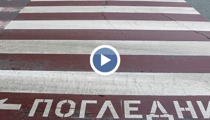 Предлагат червени "зебри" до училища и детски градини вместо традиционните пешеходни пътеки