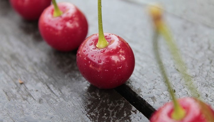 Консумацията на вишни позволява не само да се нормализира функционирането на храносмилателната система, но и да се пречисти кръвта Консумацията на вишни позволява не само да се нормализира функционирането на храносмилателната система, но и да се пречисти кръвта