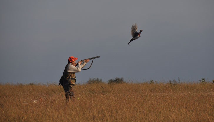 Наслука на любителите на лова! Наслука на любителите на лова!