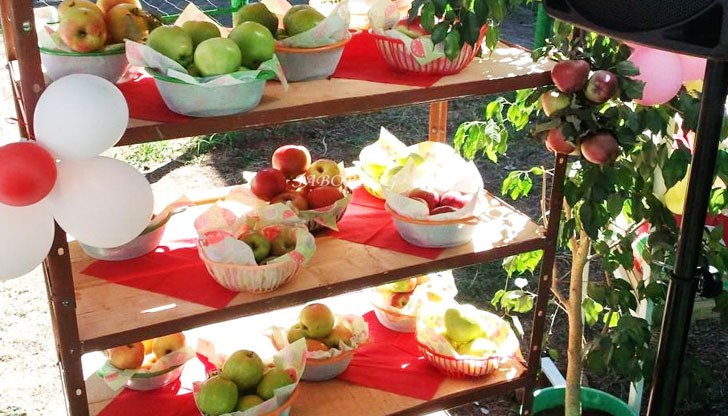 Ку­ли­нар­­ни вкусотии от ябълки очакват гостите