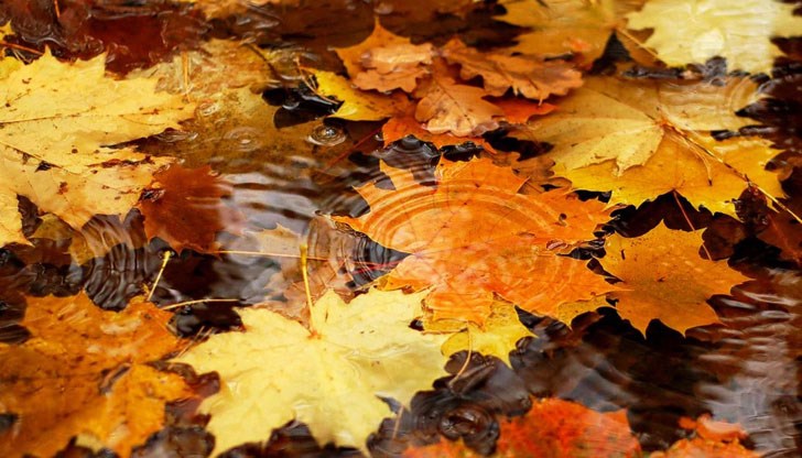 Какво ще е времето до края на седмицата Какво ще е времето до края на седмицата