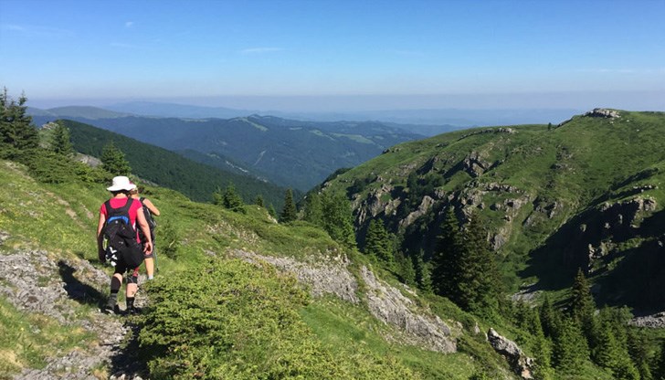 Операцията по издирването им е започнала късно вечерта в събота и е продължила през нощта /Снимката е илюстративна/ Операцията по издирването им е започнала късно вечерта в събота и е продължила през нощта /Снимката е илюстративна/