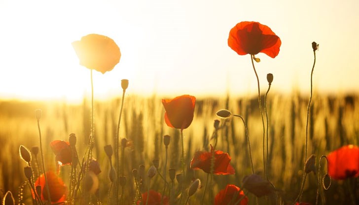 Максималните температури ще са между 29 и 34 градуса