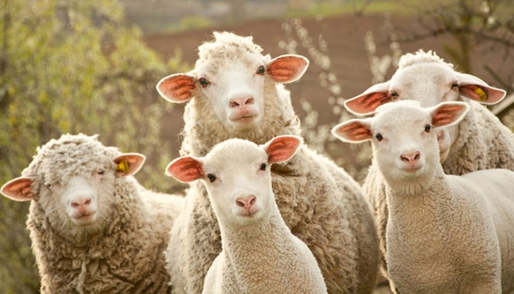 Трябва поне едно нещо да доведем докрай