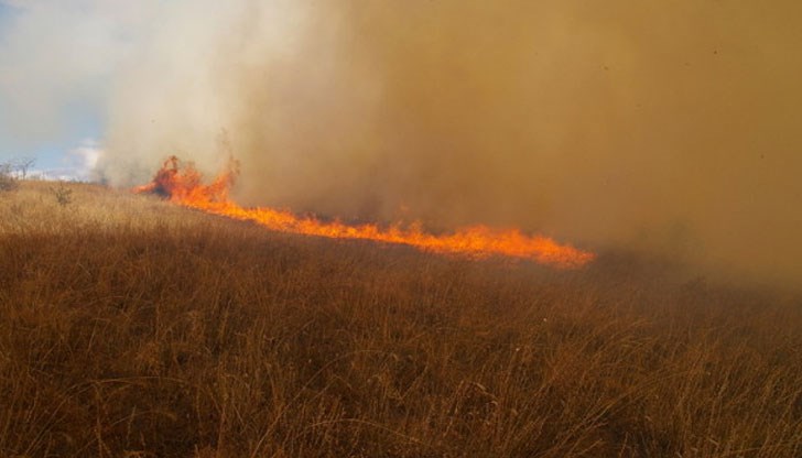 Запаленото стърнище създава опасност от пожари, които се прехвърлят към гори и дори към населени места