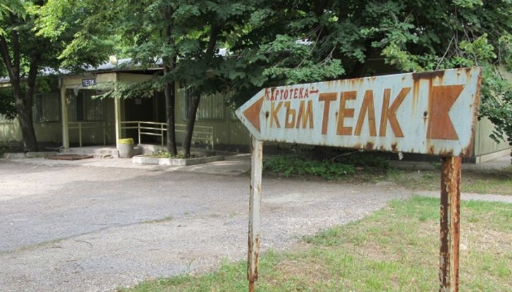 До момента хората с увреждания са събрали над 20 индивидуални жалби До момента хората с увреждания са събрали над 20 индивидуални жалби