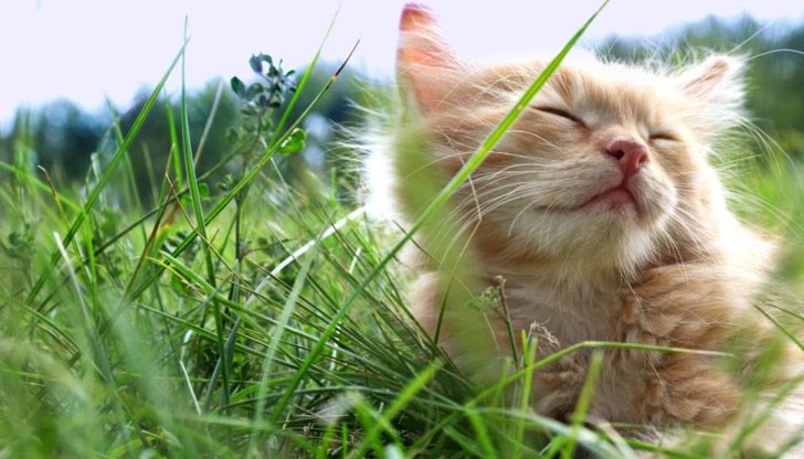 В четвъртък преди обяд ниската облачност ще се разкъсва и намалява В четвъртък преди обяд ниската облачност ще се разкъсва и намалява