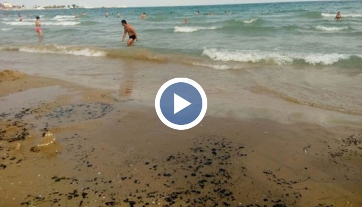 Морето край Корал е почерняло през уикенда