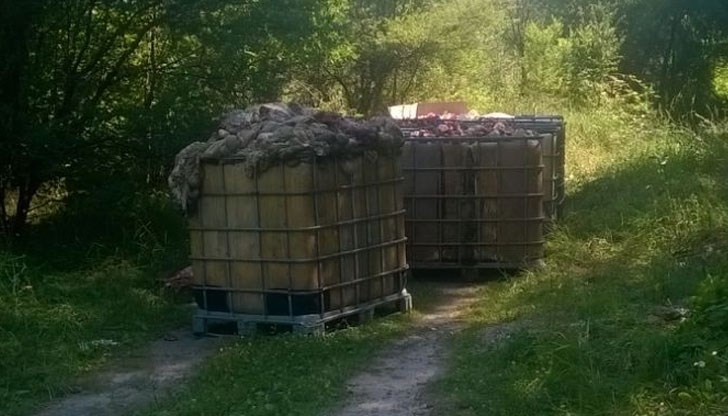 Мястото е съвсем близко до сцената, на която в неделя ще се проведе традиционният събор „Съединението прави силата“