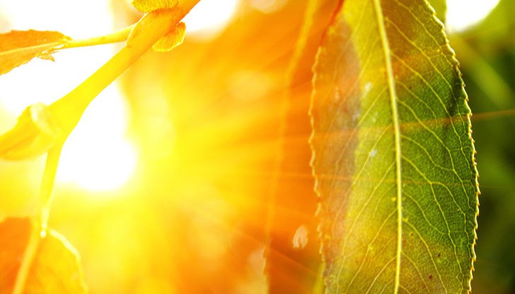 В четвъртък отново ще бъде слънчево, след обяд - дори горещо В четвъртък отново ще бъде слънчево, след обяд - дори горещо