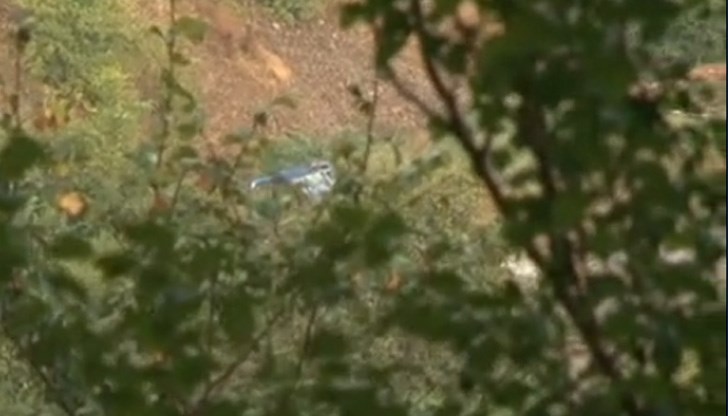 Всички, с изключение на едно момче, са пенсионери Всички, с изключение на едно момче, са пенсионери