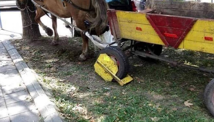 Водачът на превозното средство с една конска сила е прескочил тротоара и се настанил в зелената площ Водачът на превозното средство с една конска сила е прескочил тротоара и се настанил в зелената площ