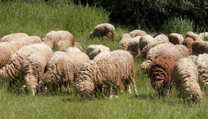 Фермата продължава да е под блокада Фермата продължава да е под блокада
