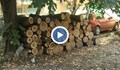 Драстичен скок на цените на дървата за огрев