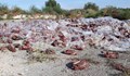 Тонове мърша се разлагат край Враца