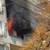 Пожар на улица "Борисова"