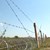 Румен Порожанов ще провери оградата по границата с Румъния