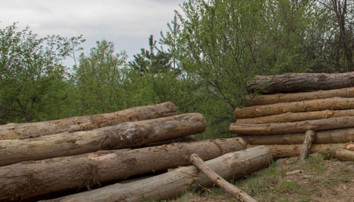 До рокадата се стигна след като досегашният шеф на агенцията Григор Гогов подаде оставка