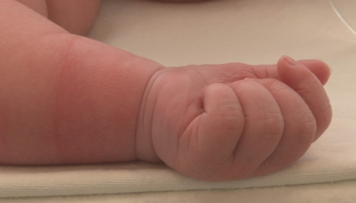 Малката Любомира претендира за национален рекорд с теглото си от 5,700 кг Малката Любомира претендира за национален рекорд с теглото си от 5,700 кг