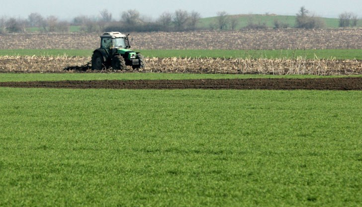Най-висока е цената на декар в Североизточния район - 1401 лв.
