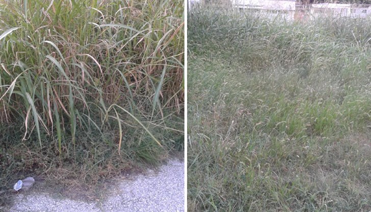 Тънем в мрак и треволяци!