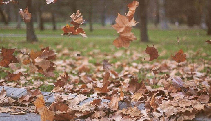 Максимални температури предимно между 15 и 20 градуса Максимални температури предимно между 15 и 20 градуса