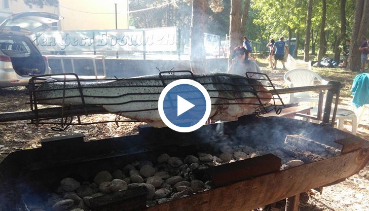 Програмата е пълна с най-различни изненади за гостите на събитието