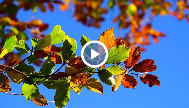 Следващите няколко дни ще са динамични с краткотрайни превалявания в следобедните часове почти в цялата страна