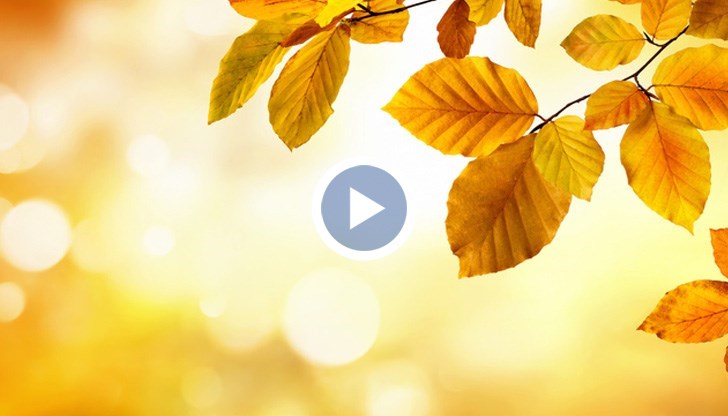 През 1946 година живакът е скочил до 42 градуса