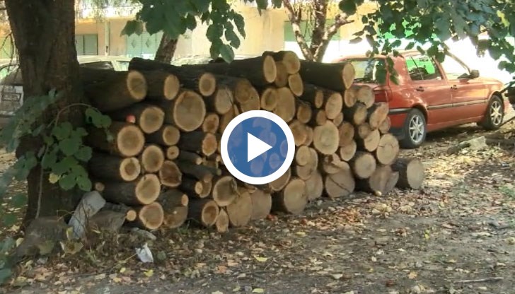 Проверка на цените със скрита камера в пунктове на твърдо гориво