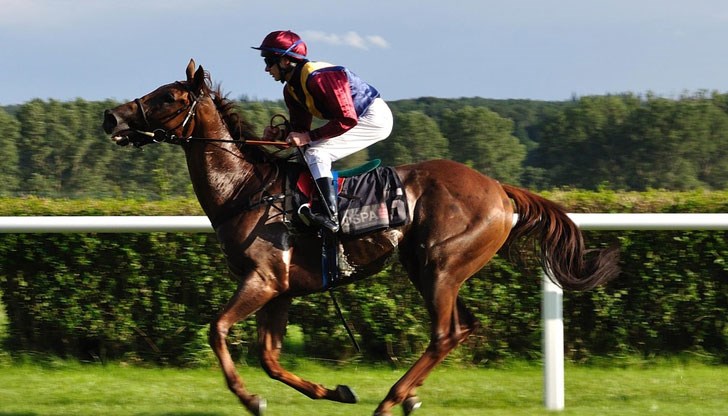 Входът е свободен! Входът е свободен!