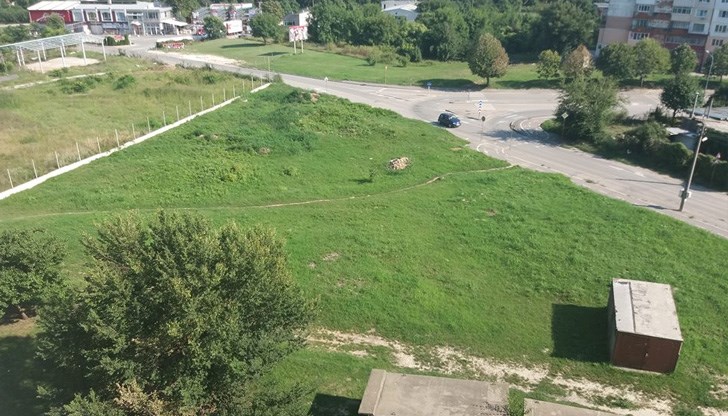 Родителите им са принудени да ги пързалят на .... коленете си