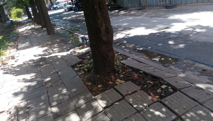 Дано се случи и да е качествено...