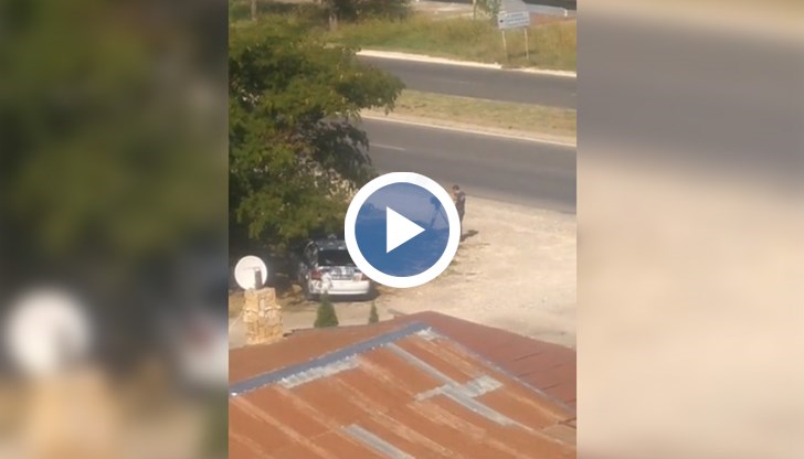 Бая джобове ще бъдат разцепени