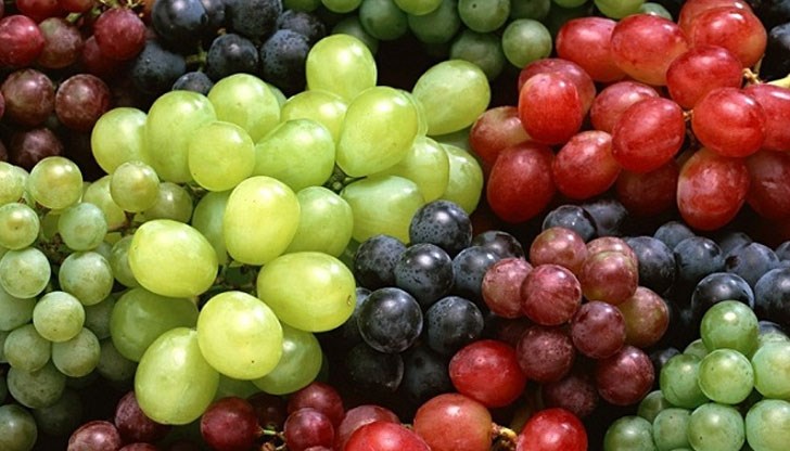 Изчезнал е 1 тон грозде Изчезнал е 1 тон грозде