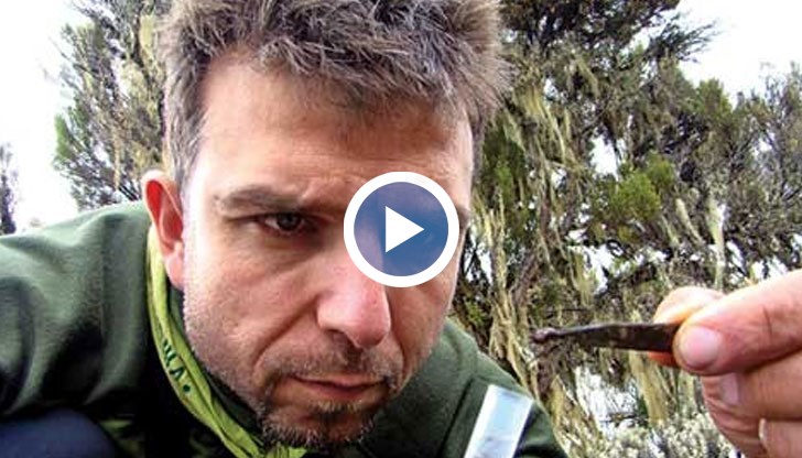 Те са били открити от него, преди да изчезне безследно в опит да изкачи връх Шишапангма