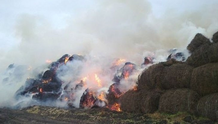 17-годишното момче беше осъдено на 10 месеца лишаване от свобода