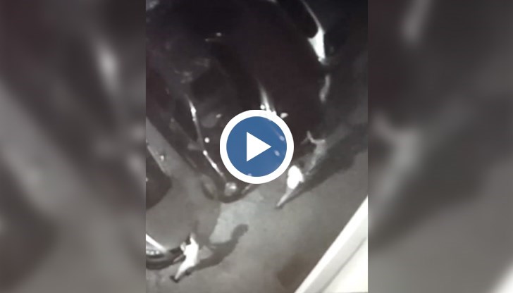 Потърпевшите заплашват да се саморазправят с тях