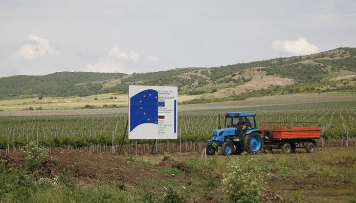 Като от десетте най-големи юридически лица в земеделието първите пет са на едно семейство