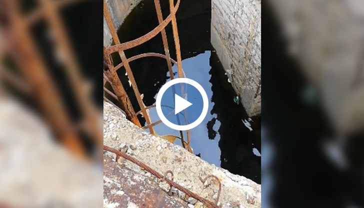 Колоните им са потънали във вода