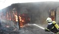 Зайци изгоряха при пожар в Разградско